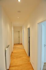 THM_DSC_7035