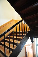 THM_DSC_3934
