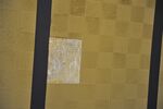 THM_DSC_4581