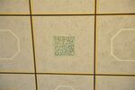 THM_DSC_4576