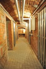 THM_DSC_7391