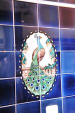 THM_DSC_4459