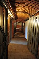 THM_DSC_4022