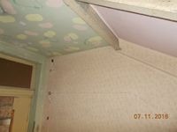 THM_DSCN3206