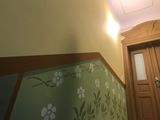 65_IMG_8356
