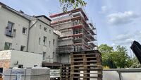 Groß (IMG_2674)
