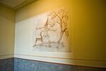 THM_DSC_7023