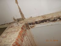 THM_DSCN3227