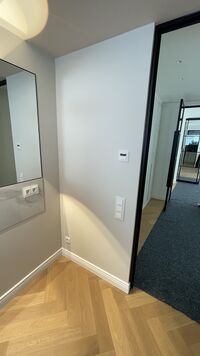 IMG_7599