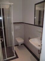 William-Zipperer-_Strasse_31_-_alternative__Badezimmerfliesen_1_